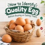 Health & Fitness: How to Identify Quality Eggs Before Buying and Eating Them.